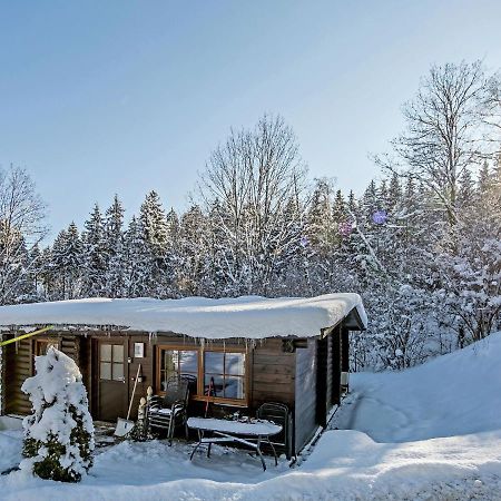 Lovely Chalet With Private Garden In W Rgl Villa Hopfgarten im Brixental Exterior foto